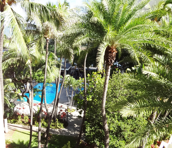 honu dining view