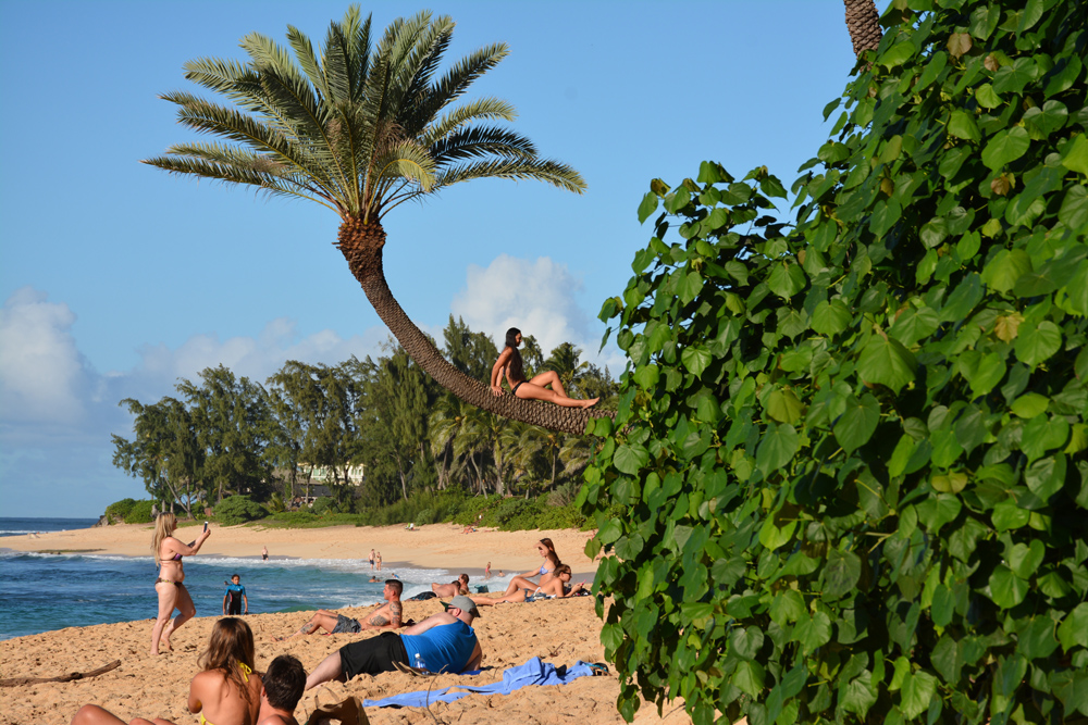 north shore