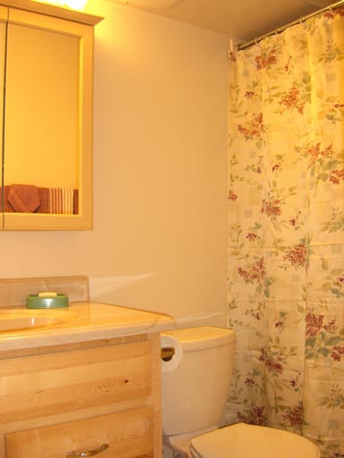 Brand new bath