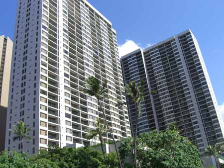 Waikiki Banyan